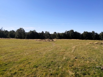 Venta / Terreno Agricola / Maullín