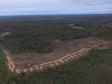 Venta / Terreno Agricola / Maullín
