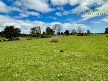 Imagen 8