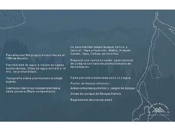 Imagen 13