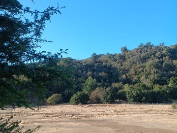 Venta / Terreno Agricola / Melipilla