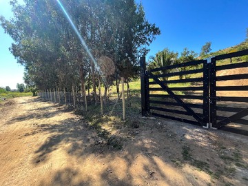 Venta / Terreno Agricola / Melipilla