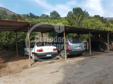 Imagen 8