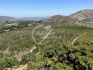 Venta / Terreno Agricola / Melipilla