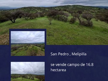 Venta / Terreno Agricola / Melipilla