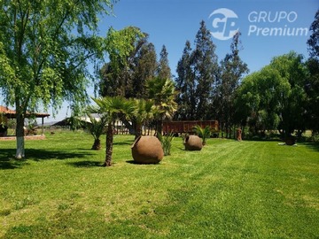 Imagen 20