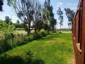 Imagen 19