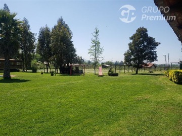 Imagen 8