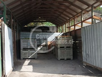 Imagen 4