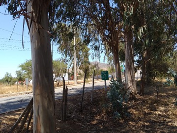 Venta / Terreno Agricola / Melipilla