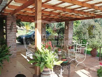 Imagen 12