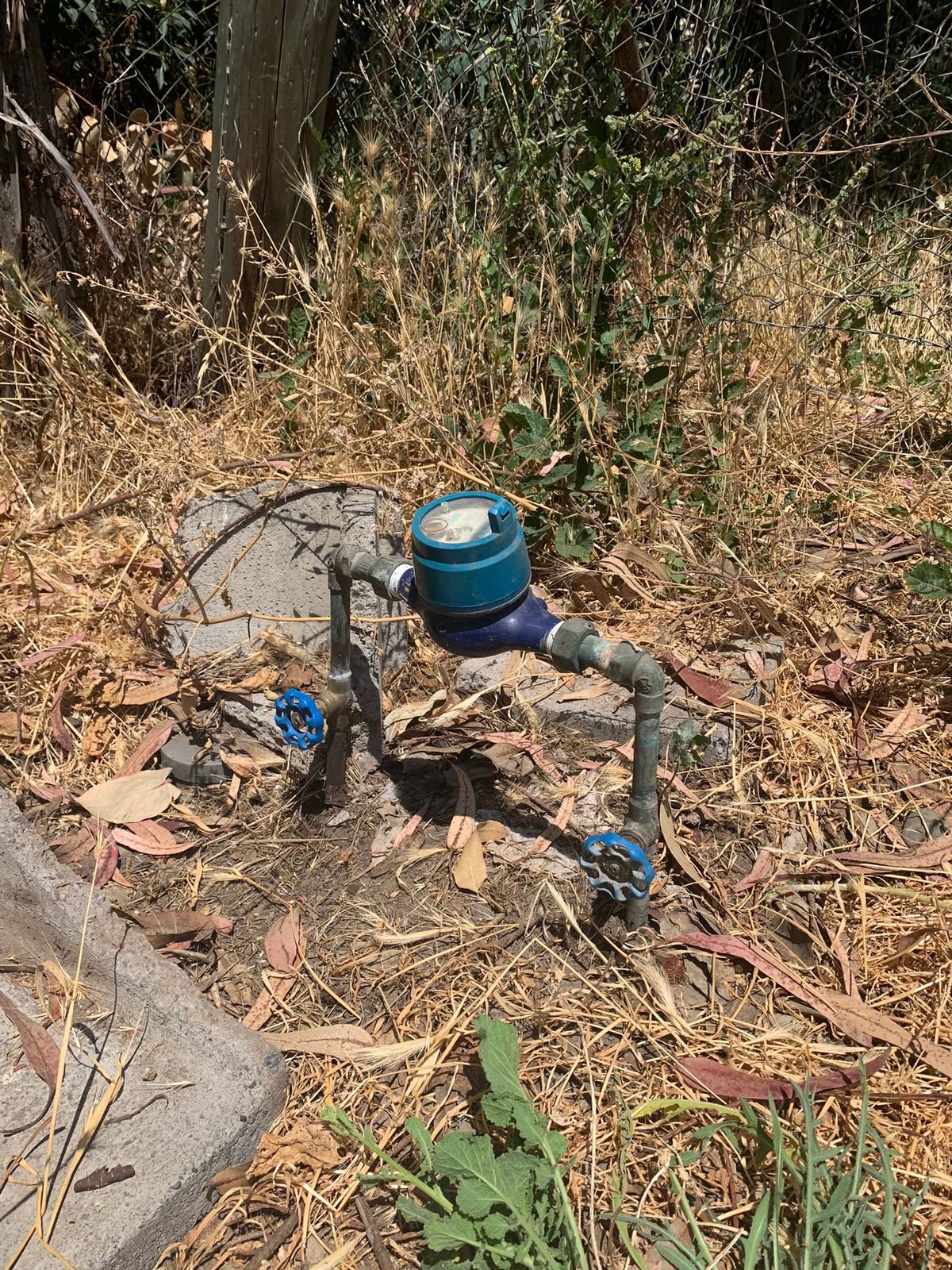 Agua potable