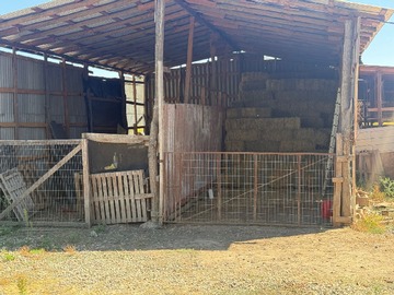 Imagen 12
