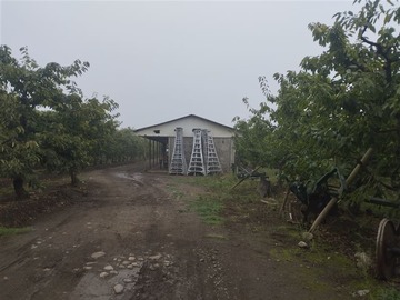Venta / Terreno Agricola / Molina