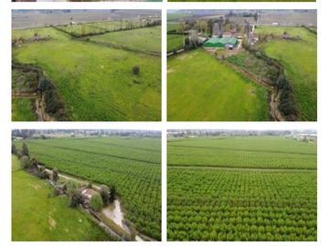 Venta / Terreno Agricola / Molina