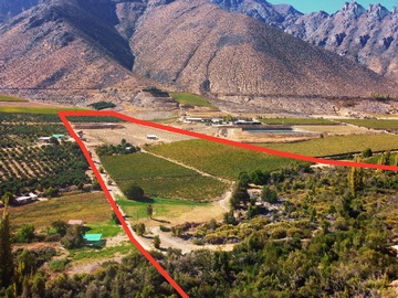 Venta / Terreno Agricola / Monte Patria