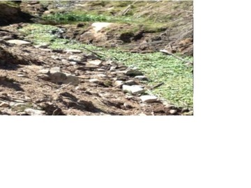 Imagen 7