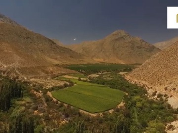 Venta / Terreno Agricola / Monte Patria