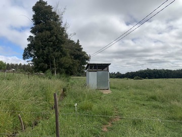 Venta / Terreno Agricola / Mulchén