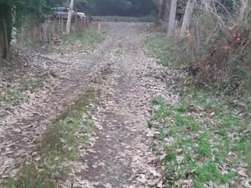 Imagen 16