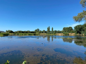 Venta / Terreno Agricola / Mulchén
