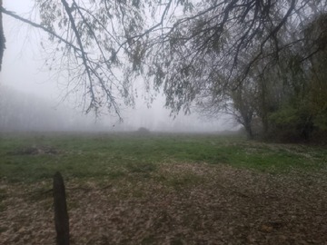 Imagen 15