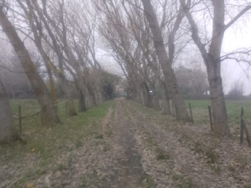 Imagen 14