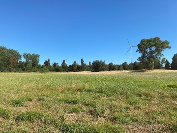 Venta / Terreno Agricola / Mulchén
