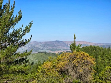 Imagen 7