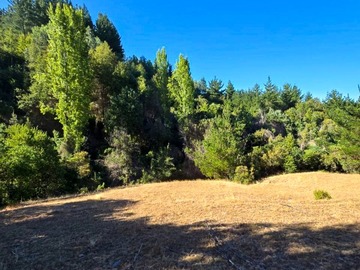 Venta / Terreno Agricola / Nacimiento