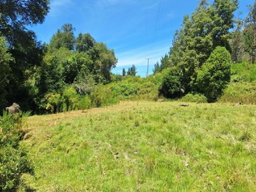 Venta / Terreno Agricola / Nacimiento