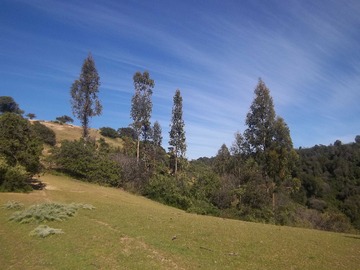 Venta / Terreno Agricola / Navidad