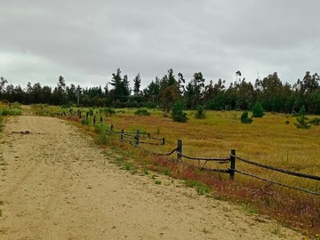 Venta / Terreno Agricola / Navidad