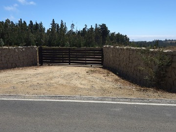 Venta / Terreno Agricola / Navidad