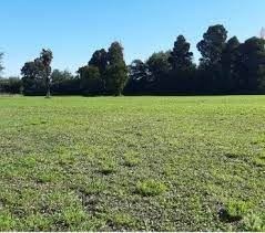Venta / Terreno Agricola / Negrete