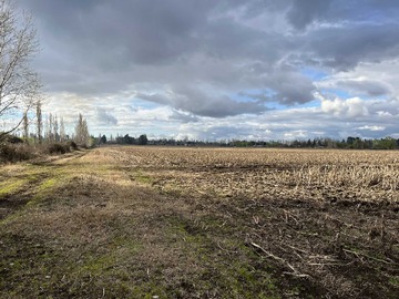 Venta / Terreno Agricola / Negrete