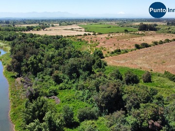 Venta / Terreno Agricola / Ñiquén