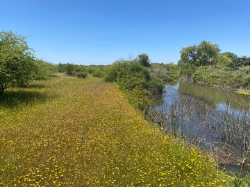 Venta / Terreno Agricola / Ñiquén