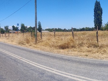 Imagen 6