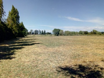 Venta / Terreno Agricola / Ñiquén