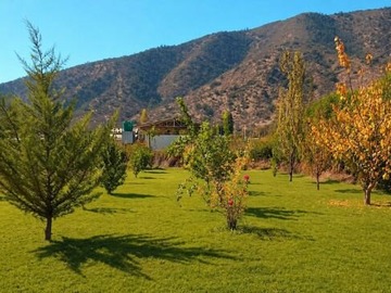 Venta / Terreno Agricola / Nogales