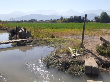 Venta / Terreno Agricola / Nogales