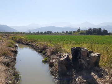 Venta / Terreno Agricola / Nogales