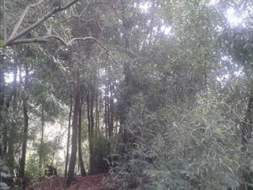 Imagen 8