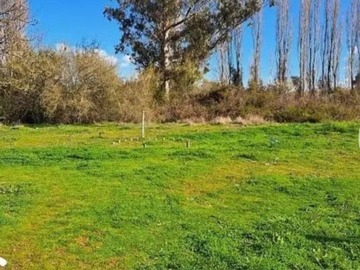 Venta / Terreno Agricola / Nueva Imperial