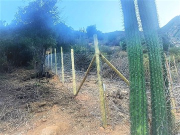 Venta / Terreno Agricola / Olmué