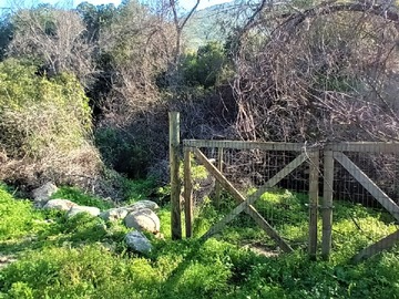 Venta / Terreno Agricola / Olmué