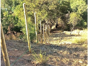 Venta / Terreno Agricola / Olmué