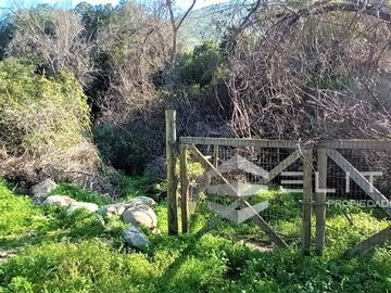 Venta / Terreno Agricola / Olmué