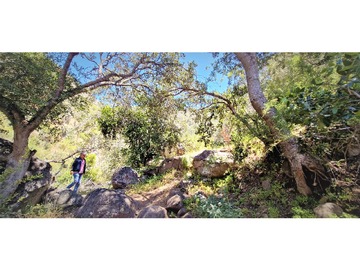 Imagen 32